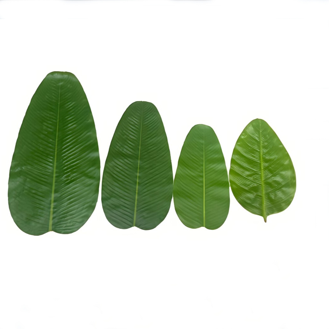 Baby Food Banana - Banana Leaf Dining Table Hotel Hawaii