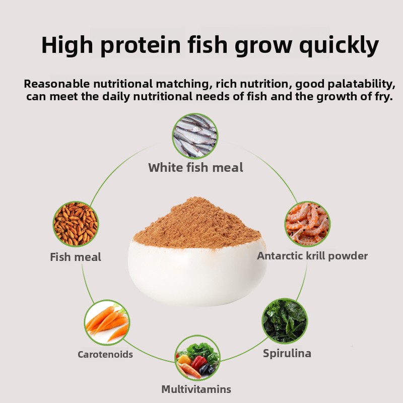 PENISON Powder Baby Fish Food, - Baby Food Diet review and price