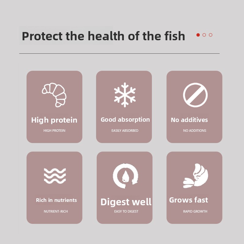 PENISON Powder Baby Fish Food, - Baby Food Diet review and price
