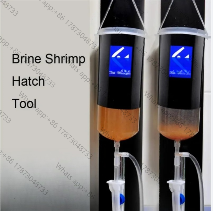 Fairy shrimp egg artemia alive - Baby Food Egg review and price