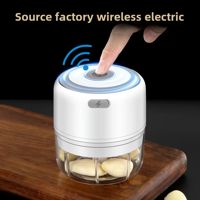 Electric Mini Garlic Chopper 1 - Baby Food Grinder review and price