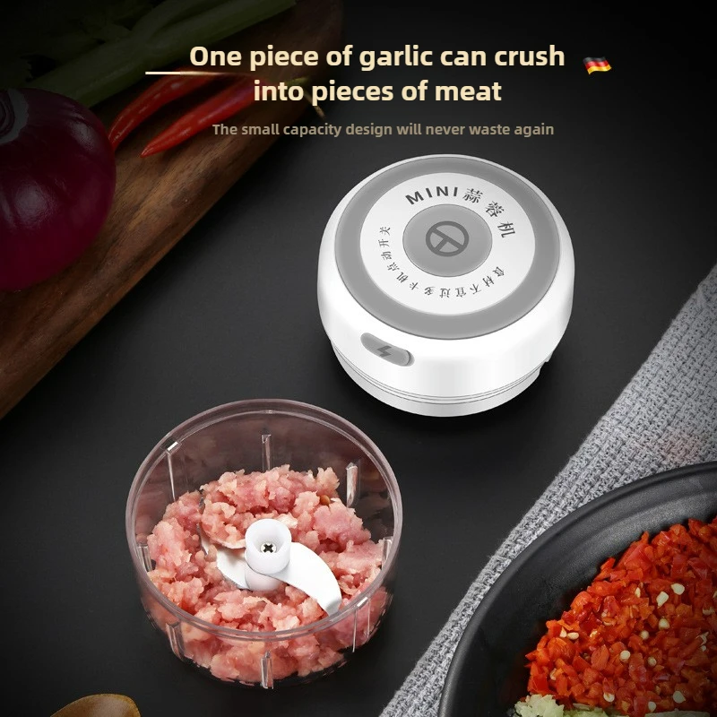 Electric Mini Garlic Chopper 1 - Baby Food Grinder review and price