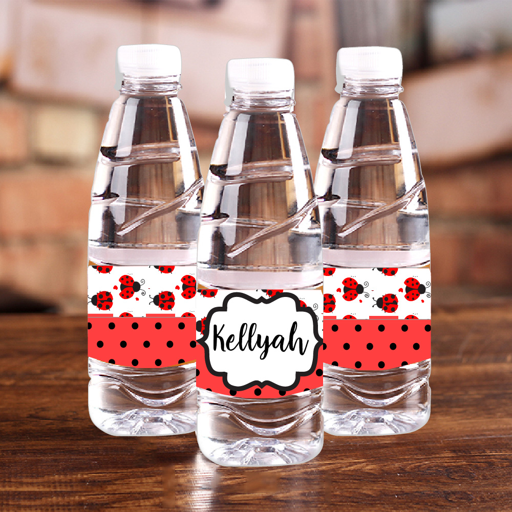 Personalised Ladybug Red Polka - Baby Food Grinder review and price